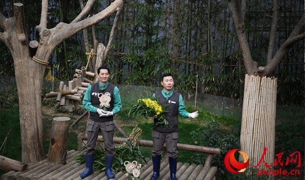 熊貓飼養(yǎng)員姜哲遠和宋永寬向媒體介紹為“福寶”準備的送別禮物。人民網(wǎng) 李帆攝