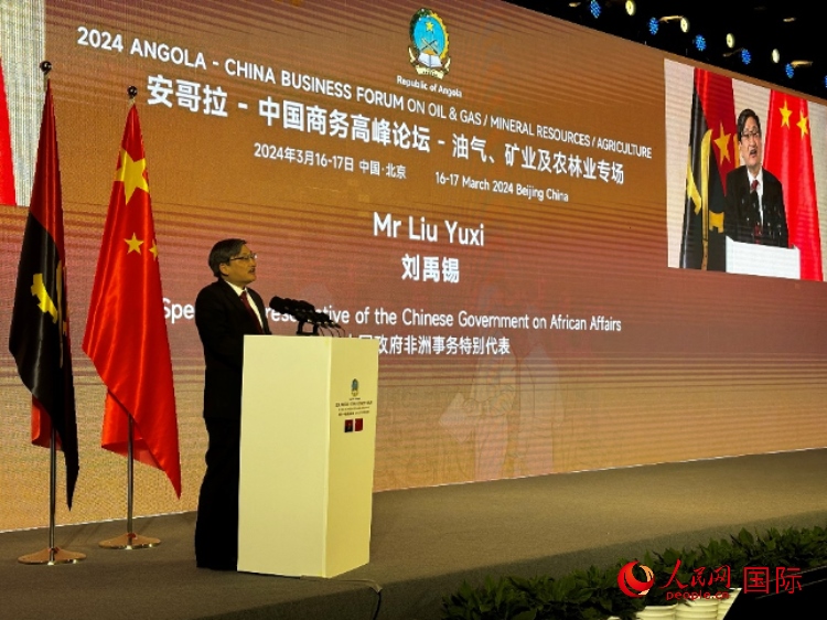 中國政府非洲事務特別代表劉禹錫。人民網(wǎng)記者 張榮攝