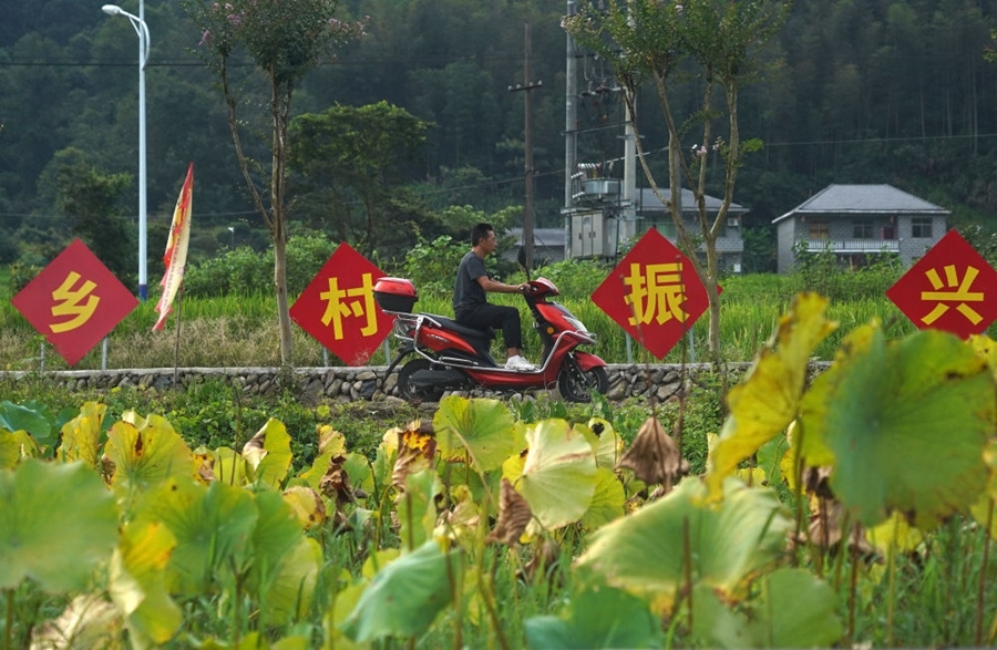 2023年8月24日拍攝的江西省靖安縣璪都鎮(zhèn)港背村一景。該村在當(dāng)?shù)卣С窒?，修古建，建民宿，搞開(kāi)發(fā)，引進(jìn)竹筏漂流、觀光采摘、農(nóng)耕體驗(yàn)、森林研學(xué)等多種旅游業(yè)態(tài)，建成新田園生態(tài)度假小鎮(zhèn)，發(fā)展鄉(xiāng)村旅游，走上致富路。