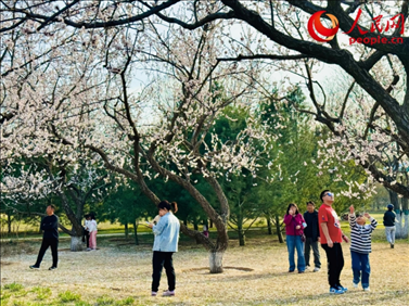 游客在北京長(zhǎng)陽(yáng)公園賞花。人民網(wǎng)記者 劉微攝