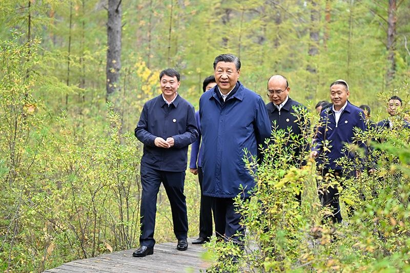 △2023年9月6日，習(xí)近平總書(shū)記在大興安嶺地區(qū)漠河市漠河林場(chǎng)自然林區(qū)考察。