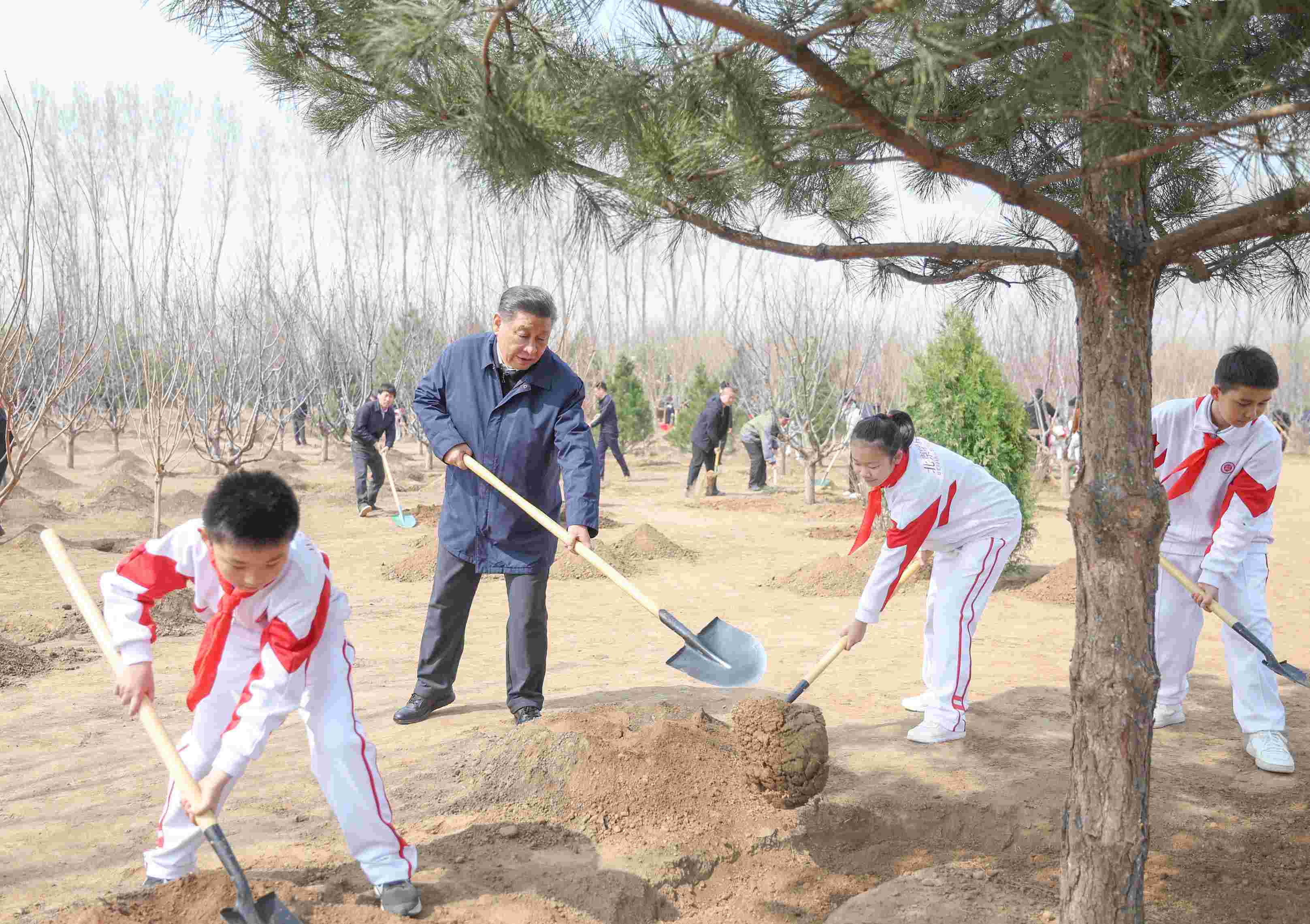 2024年4月3日，習(xí)近平總書記來到北京市通州區(qū)潞城鎮(zhèn)參加首都義務(wù)植樹活動(dòng)。