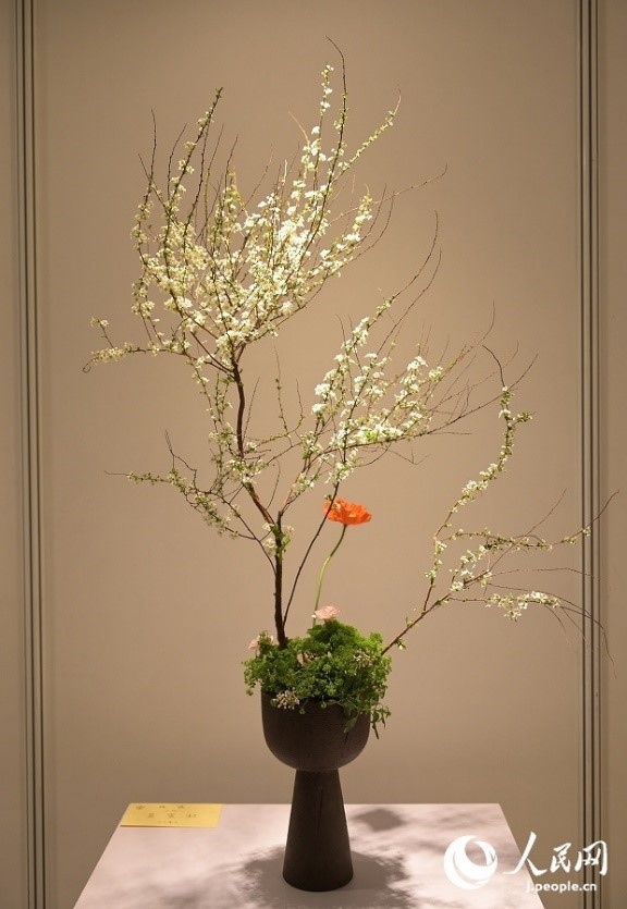 插花作品。人民網(wǎng) 玄番登史江攝