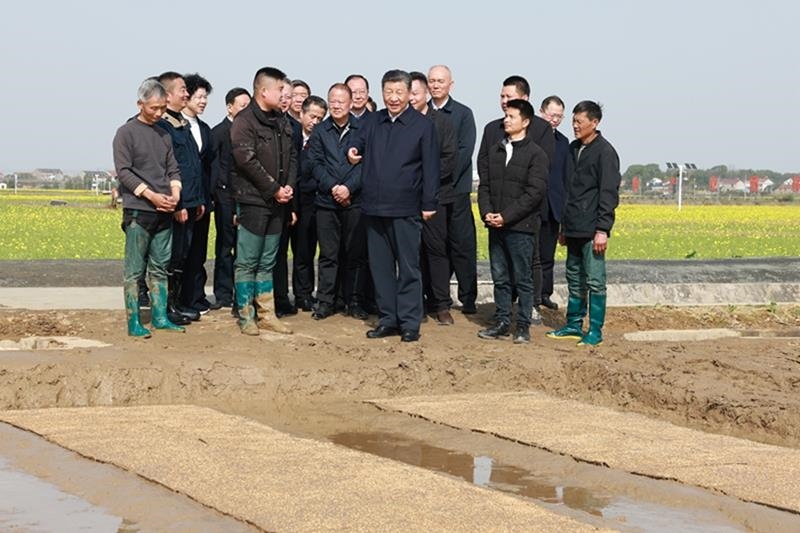 △2024年3月19日，在湖南常德市鼎城區(qū)謝家鋪鎮(zhèn)港中坪村，習(xí)近平總書記走進(jìn)田間，察看秧苗培育和春耕備耕進(jìn)展。