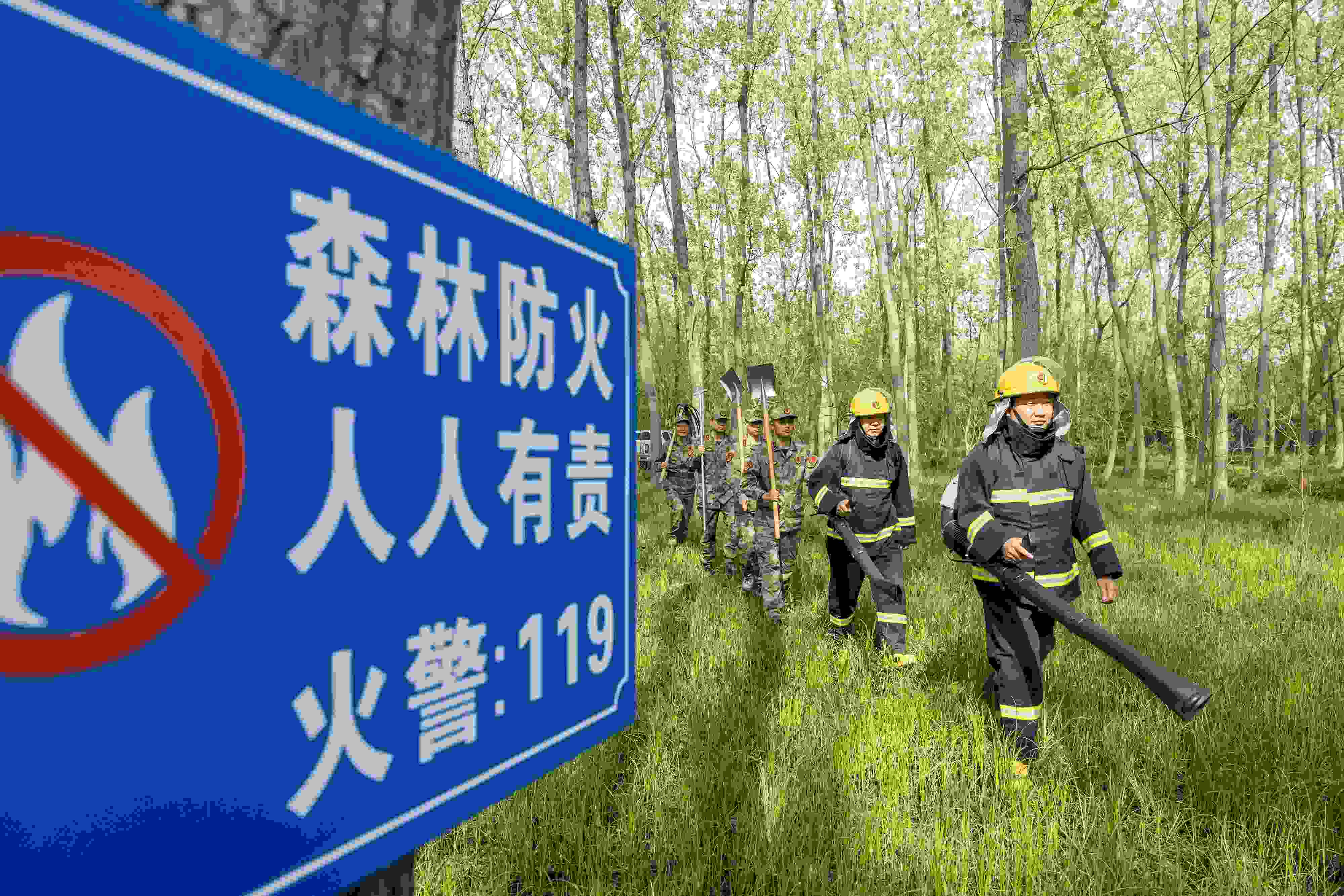 2024年4月9日，合肥市大房郢水庫水源保護(hù)地廬陽經(jīng)濟(jì)開發(fā)區(qū)段，基干民兵正在林間巡查火災(zāi)隱患。