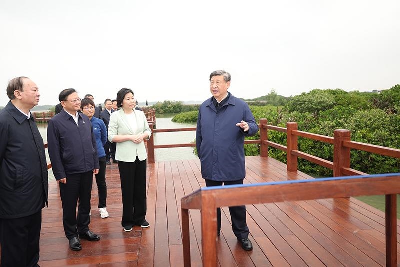 △2023年4月10日，習(xí)近平總書記在廣東湛江市麻章區(qū)湖光鎮(zhèn)金牛島紅樹林片區(qū)考察。