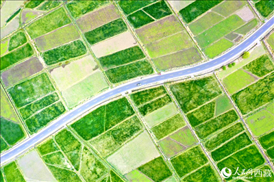 無(wú)人機(jī)視角下的西藏山南市瓊結(jié)農(nóng)田。人民網(wǎng)記者 次仁羅布攝