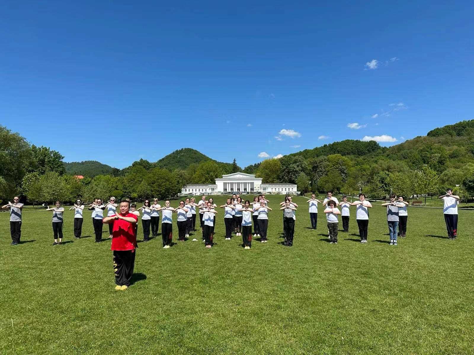 北京體育大學(xué)教授武冬帶領(lǐng)學(xué)員進(jìn)行太極拳演練。布加勒斯特中國文化中心供圖