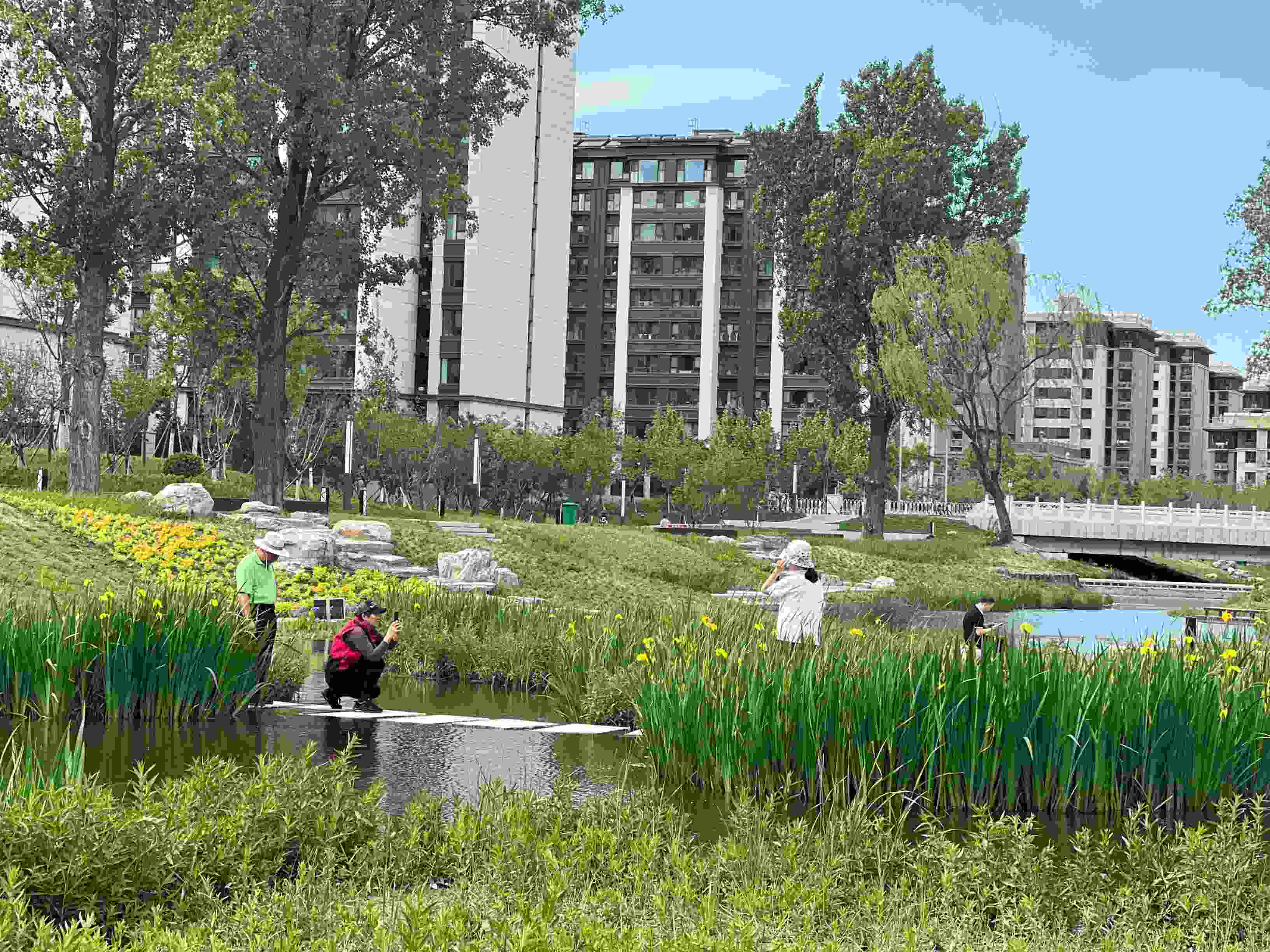 五一渠生態(tài)濱河公園內(nèi)，市民正在拍照留念。人民網(wǎng) 歐陽易佳攝