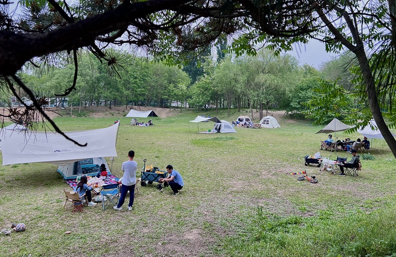 “自駕+露營”等多元模式受熱捧。人民網(wǎng)記者 王連香攝