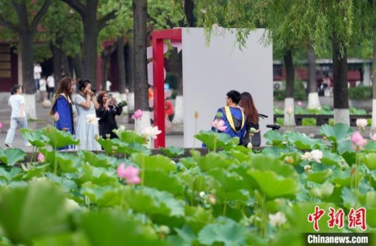 6月19日，時(shí)值一年畢業(yè)季，四川大學(xué)望江校區(qū)荷花池里的荷花盛開(kāi)，成為了畢業(yè)生們的打卡圣地，吸引了眾多畢業(yè)生拍照留念。圖為畢業(yè)生在荷花池邊拍照留念。中新社記者 安源 攝
