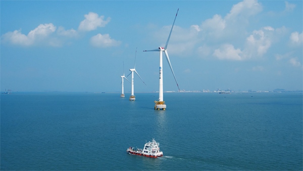 福建興化灣海上風(fēng)電場(chǎng)。受訪者供圖