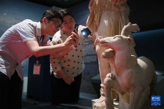 7月2日，安徽博物院工作人員在拍攝開箱后的古希臘文物。新華社記者 張端 攝