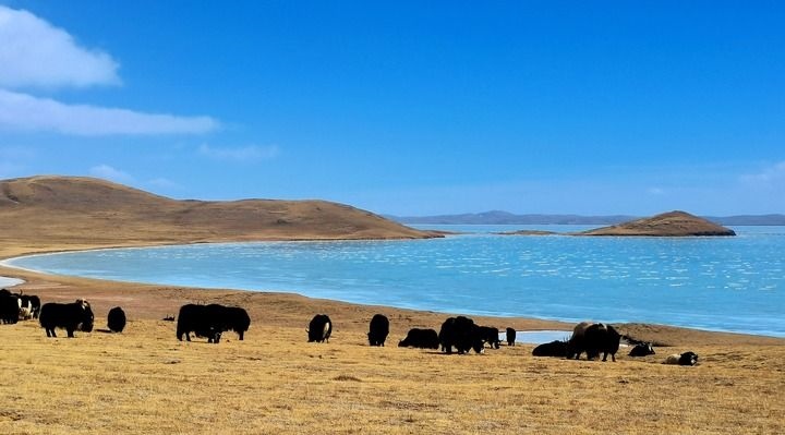 在三江源國家公園黃河源園區(qū)拍攝的扎陵湖風(fēng)光（2022年3月12日攝）。新華社記者 呂雪莉 攝