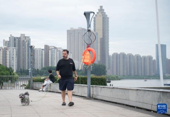 7月20日，在安徽蕪湖市，馬丁在長(zhǎng)江邊遛狗。新華社記者 傅天 攝