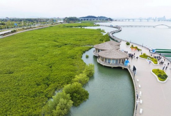 2024年1月23日拍攝的廈門市翔安區(qū)下潭尾紅樹(shù)林公園（無(wú)人機(jī)照片）。新華社記者 林善傳 攝
