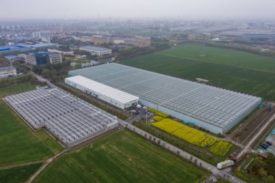 2024年3月28日，空中俯瞰嘉興南湖區(qū)湘家蕩農(nóng)業(yè)數(shù)字化工廠（無(wú)人機(jī)照片）。該農(nóng)業(yè)數(shù)字化工廠占地總面積約62畝，包含智慧農(nóng)業(yè)生產(chǎn)、物聯(lián)網(wǎng)智能管理、自動(dòng)分揀包裝、保鮮儲(chǔ)藏物流、高科技示范展示等五大功能區(qū)，可直接或間接培養(yǎng)帶動(dòng)新型職業(yè)技術(shù)農(nóng)民500人以上。新華社記者 徐昱 攝