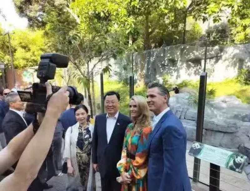 謝鋒大使及夫人與加州州長(zhǎng)紐森夫婦在圣迭戈動(dòng)物園大熊貓館前合影。圖片為中國(guó)駐美大使館提供