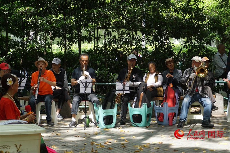 成都居民在公園里演奏歌曲。人民網(wǎng) 王禹蘅攝