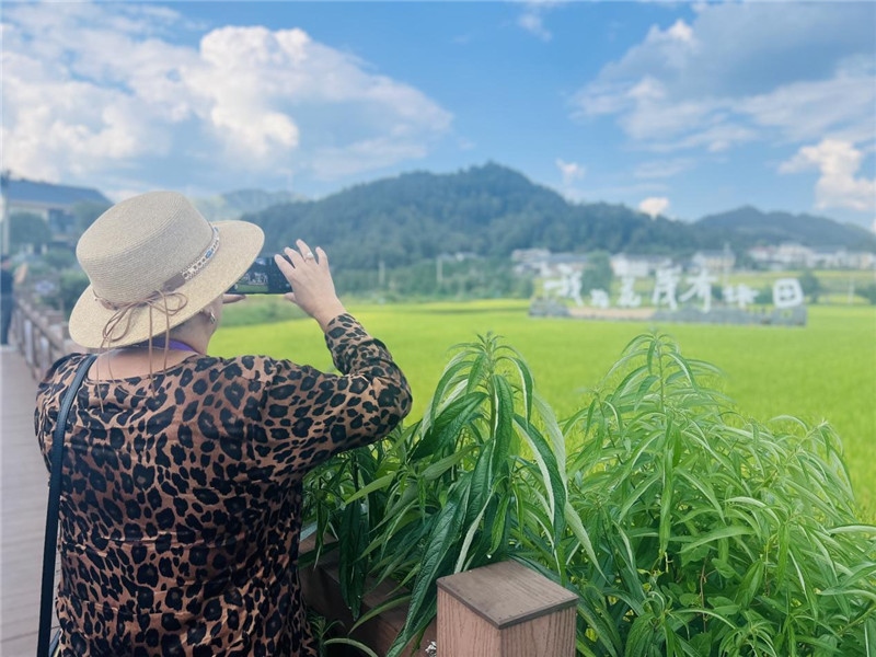“我在花茂有塊田”，不僅是中國人的詩和遠方，也是塔吉克斯坦“阿維斯塔”通訊社總編輯占納特洪·庫爾班諾娃的“烏托邦”。（張亞欣攝）