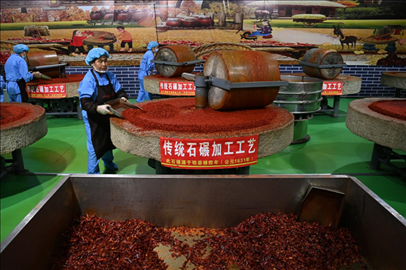 工人用電動石碾加工辣椒面。新華社記者 范培珅 攝