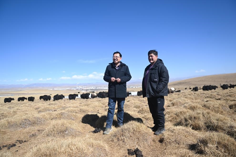 2023年2月24日，在青海省海北藏族自治州海晏縣青海湖鄉(xiāng)達(dá)玉日秀村，全國(guó)人大代表董全民（左）查看牧民東知布家的草場(chǎng)。新華社記者 張龍 攝