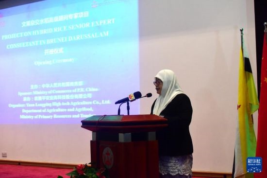 10月26日，文萊初級(jí)資源與旅游部常任秘書圖蒂亞蒂在斯里巴加灣市出席中國(guó)與文萊雜交水稻高級(jí)專家顧問項(xiàng)目啟動(dòng)儀式。新華社記者 李萌 攝