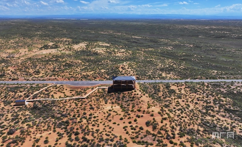 古浪縣一代代人治沙不息，讓綠色向沙漠深處不斷延伸（央廣網(wǎng)記者 李紅軍 攝）