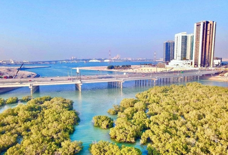 圖為瑞姆橋施工現(xiàn)場。中國土木供圖