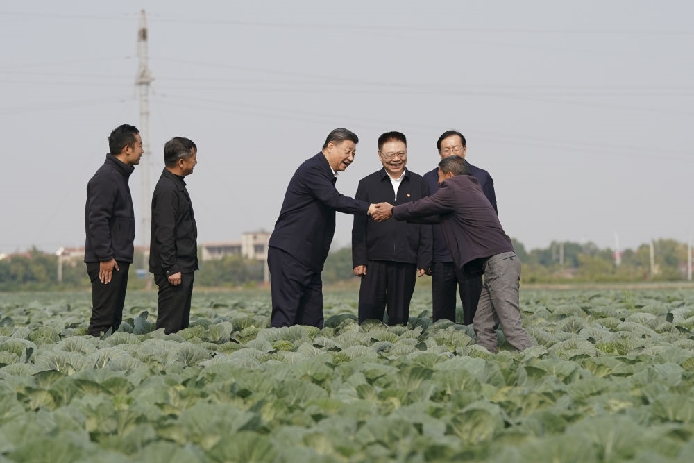 2024年11月5日，習(xí)近平在咸寧市嘉魚縣潘家灣鎮(zhèn)十里蔬菜長廊考察時(shí)，同菜農(nóng)親切交流。
