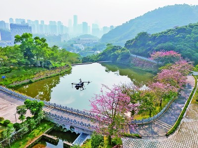 無人機在深圳塘朗山郊野公園里巡檢。新華社發(fā)