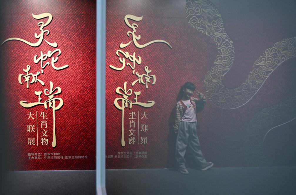 1月18日，一名小朋友在國(guó)家自然博物館舉辦的“靈蛇獻(xiàn)瑞——2025乙巳蛇年生肖文物大聯(lián)展”展覽中拍照留念。（新華社記者 陳鐘昊 攝）