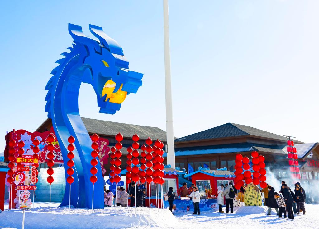 2025年1月，游客在遼寧錦州東方華地城海洋冰雪王國內(nèi)游覽。新華社發(fā)