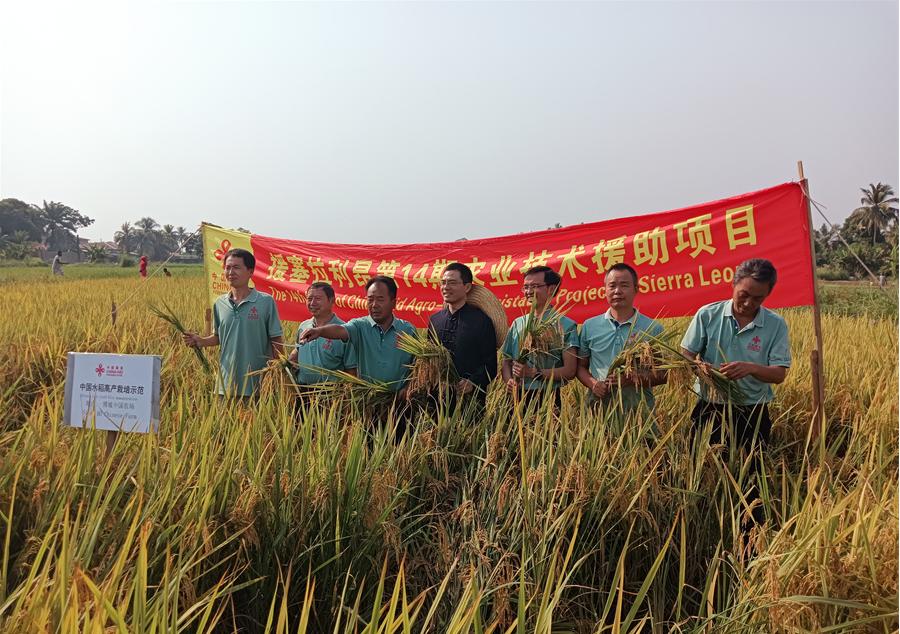 中國駐塞拉利昂大使王擎和援塞農(nóng)業(yè)專家組合影。中國援塞農(nóng)業(yè)專家組供圖