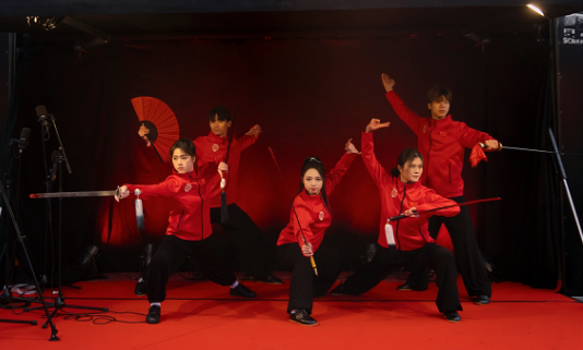 武術(shù)表演。中國(guó)駐芬蘭大使館供圖