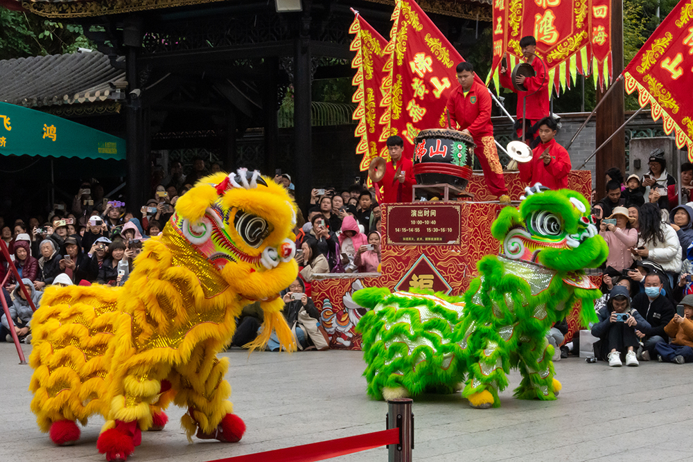 圖為廣東省佛山市祖廟的醒獅表演。