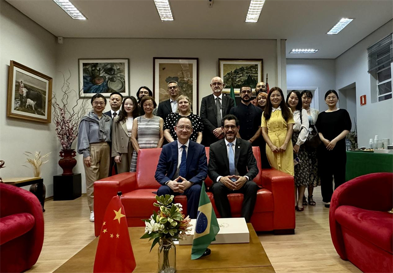 圖為參加座談會(huì)的來(lái)賓合影留念。 圣保羅州立大學(xué)孔子學(xué)院供圖