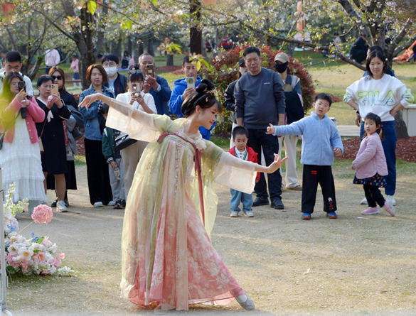 清明假期期間，上海顧村公園櫻花島上，游客在觀賞國(guó)風(fēng)漢服快閃表演。（圖片來(lái)源：視覺中國(guó)）