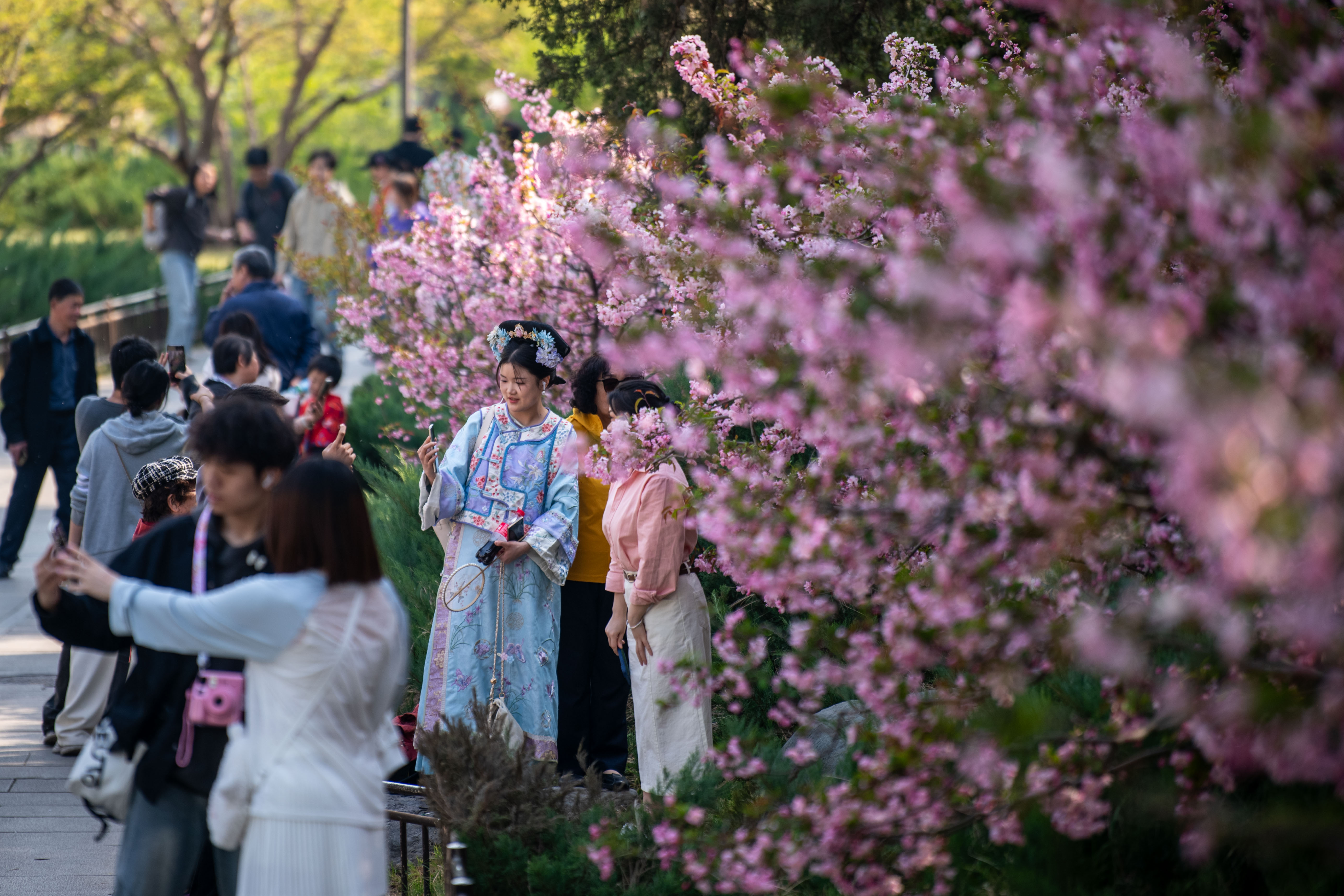 2025年4月6日，北京北海公園，滿園春色醉游人。人民網(wǎng)記者 翁奇羽攝