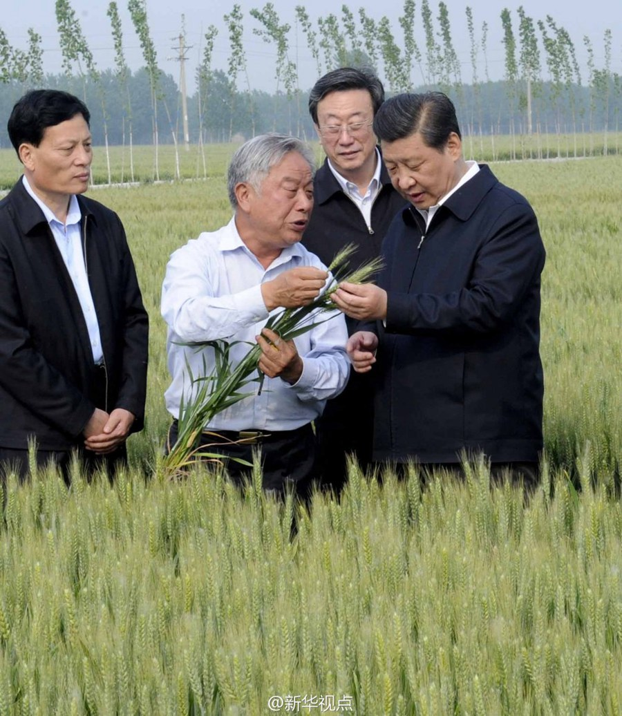 2014年5月，習(xí)近平總書記在河南省尉氏縣張市鎮(zhèn)高標(biāo)準(zhǔn)糧田察看小麥長(zhǎng)勢(shì)。
