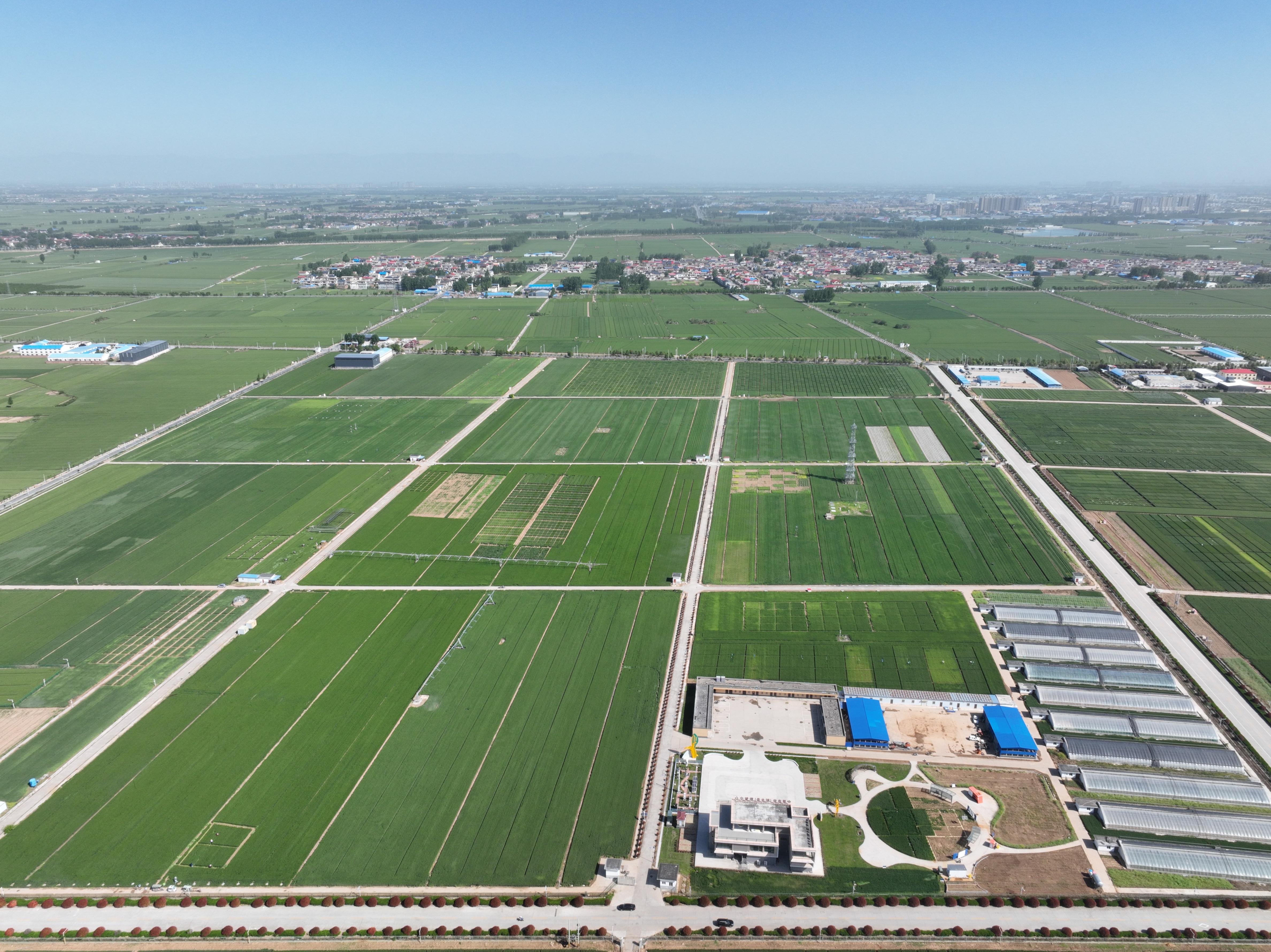 俯瞰水利部灌溉試驗(yàn)總站試驗(yàn)研究基地。受訪者供圖