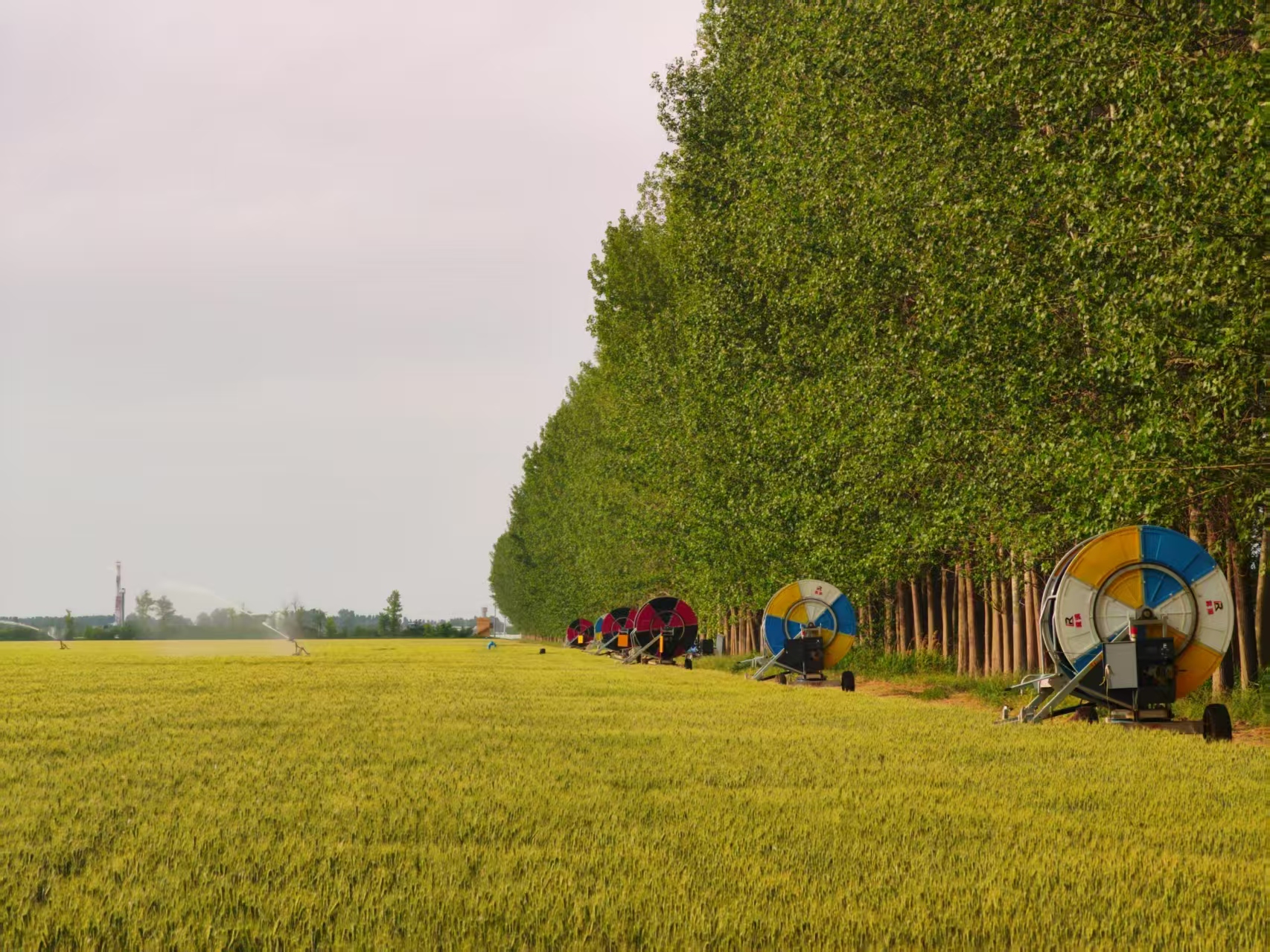 陜西華陰市華西鎮(zhèn)農(nóng)墾農(nóng)場正在作業(yè)的卷盤式噴灌機(jī)。受訪者供圖